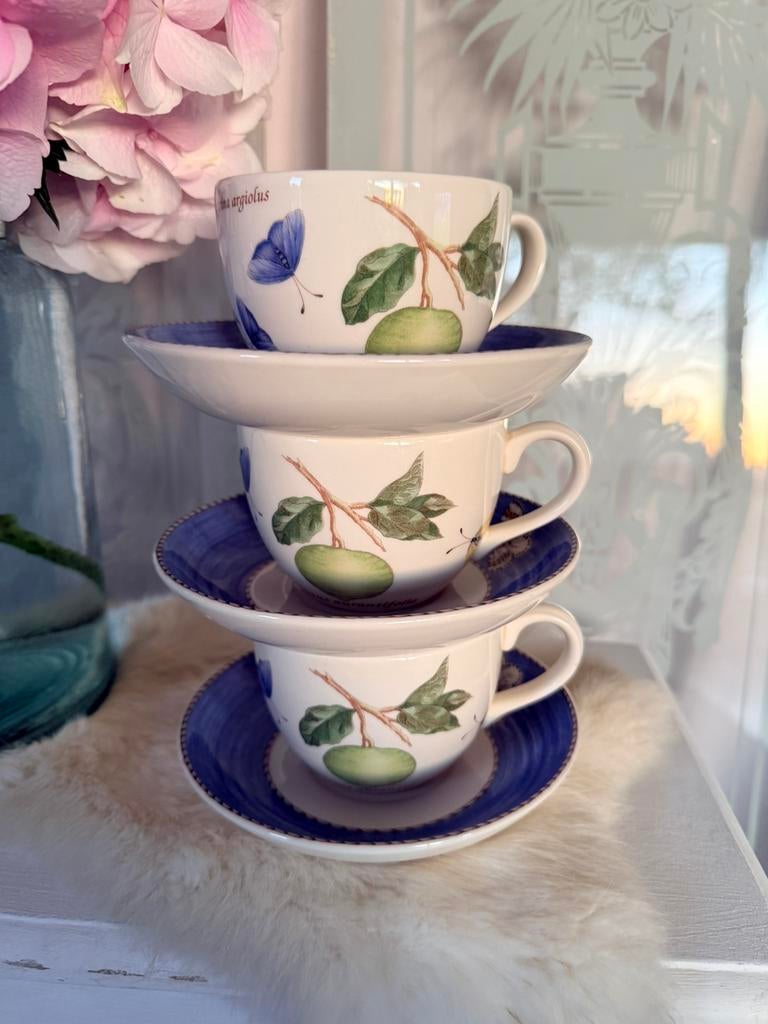 Sarah’s Garden 4x theekoppen en 5x schotels izgst Wedgwood, Ophalen, Zo goed als nieuw, Porselein, Kop en/of schotel