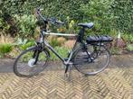 Sparta F8e elektrische fiets - Krachtige ondersteuning, Ophalen, Sparta, Gebruikt, 59 cm of meer
