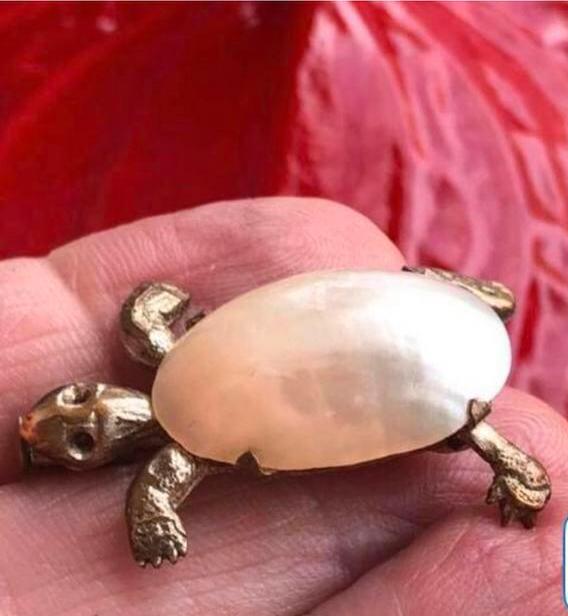 Broche Antiek schelp Schildpad mooie Luster glans, Ophalen of Verzenden, Overige materialen, Broche