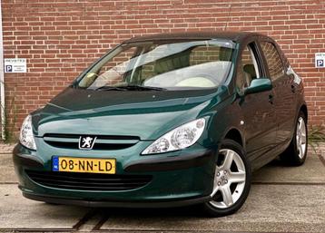 Peugeot 307 2.0-16V XT beschikbaar voor biedingen
