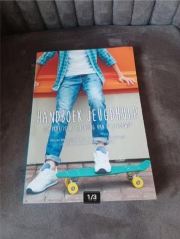 Handboek jeugdhulp Miquel Wijngaards beschikbaar voor biedingen