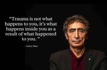 Gabor Maté - Volledig pakket (dvd's, cd's, boeken etc,) beschikbaar voor biedingen
