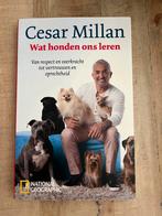 Cesar Millan - Wat honden ons leren, Honden, Zo goed als nieuw, Cesar Millan, Ophalen of Verzenden