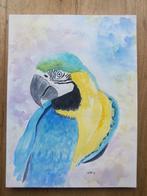 Aquarel Macaw / Blauwvleugel Ara, Minder dan 50 cm, Nieuw, Minder dan 50 cm, Schilderij