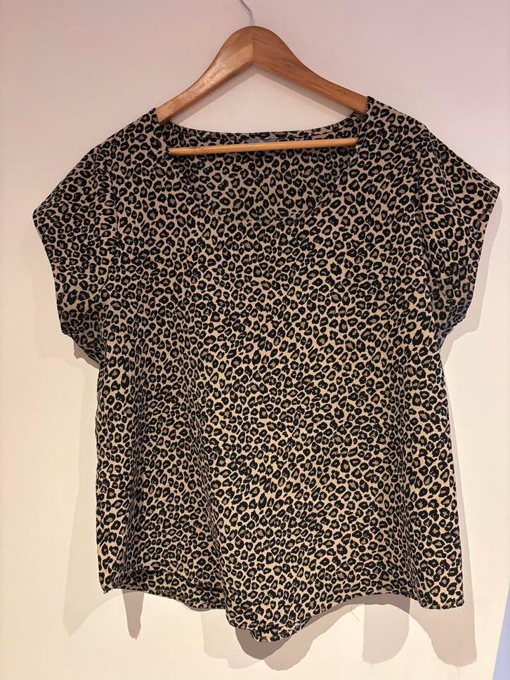 Shirt maat 46, Kleding | Dames, Grote Maten, Gedragen, Shirt of Top, Ophalen of Verzenden