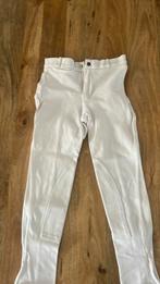 Paardrijbroek wedstrijd, Dieren en Toebehoren, Paardrijkleding, Ophalen of Verzenden, Gebruikt, Dressuur, Onderkleding