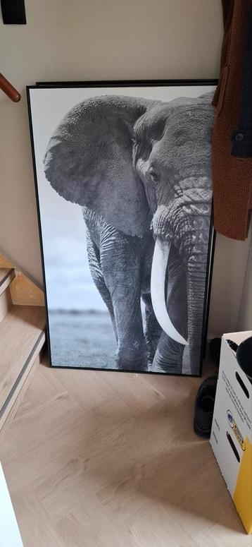 Schilderij olifant  beschikbaar voor biedingen