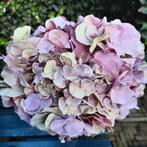 Zijden Hortensia's Kunstbloemen Sober Landelijk, Ophalen of Verzenden, Nieuw, Binnen