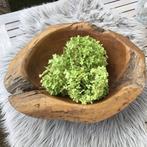 Teak Houten Schaal - Rustiek & Uniek, Gebruikt, Schaal, Ophalen of Verzenden, Overige vormen