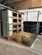 Liefdevolle vakantieopvang voor konijnen, cavia’s en meer, Dieren en Toebehoren, Ophalen, Zo goed als nieuw