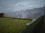Tunnelkas 9x20m met zwembad en toebehoren, Staal, Gebruikt, Folie, Kweekkas