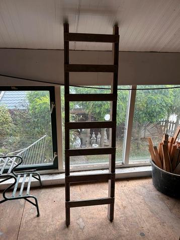 Wetim ladder ingekort - bouwladder kort beschikbaar voor biedingen