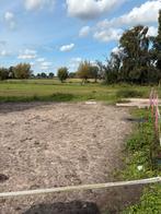 Weiland met schuilstal ., Dieren en Toebehoren, Stalling en Weidegang, 2 of 3 paarden of pony's