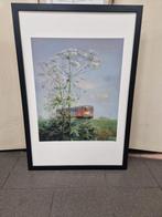 rein pol de blauwe engel lente, Ophalen of Verzenden, 75 cm of meer, 50 tot 75 cm, Print