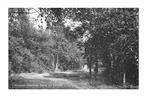 978853 Rijwielpad Hollandsche Rading n d Vuursche Utr 1954, Verzamelen, Ansichtkaarten | Nederland, Ophalen of Verzenden, Gelopen