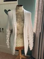 Prachtig nieuw vest maat L €39,95, Ophalen of Verzenden, Nieuw, Maat 42/44 (L), Overige kleuren