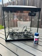 Aquarium, Ophalen of Verzenden, Zo goed als nieuw, Leeg aquarium