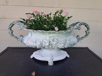 Grote Antieke Jardiniére beschikbaar voor biedingen