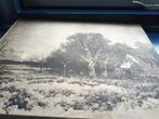 winterlandschap van Louis Apol, Antiek en Kunst, Kunst | Schilderijen | Klassiek, Ophalen