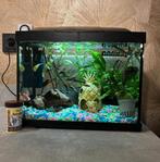 Aquarium met pompje en vissen, Dieren en Toebehoren, Ophalen, Zo goed als nieuw, Gevuld zoetwateraquarium