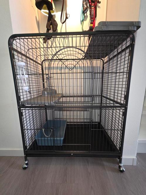 Knaagdier kooi compleet, Dieren en Toebehoren, Knaagdieren en Konijnen | Hokken en Kooien, Zo goed als nieuw, Kooi, 90 cm of meer