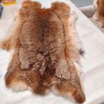 Prachtig konijnenbontje mooi kleedje, Ophalen of Verzenden