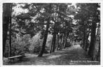 (377-469-017) Bergen NH Sparrenlaan, Verzamelen, Ansichtkaarten | Nederland, Verzenden, Noord-Holland
