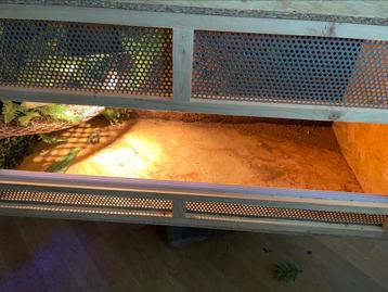 Terrarium beschikbaar voor biedingen