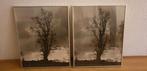 foto's in lijst bomen, Ophalen, Minder dan 50 cm, Foto of Poster, Minder dan 50 cm