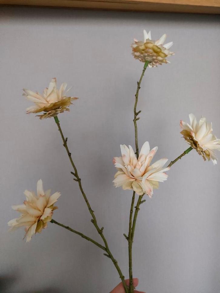 1 kunsttak in de kleur zalm/beige, Huis en Inrichting, Woonaccessoires | Kunstplanten en Kunstbloemen, Zo goed als nieuw, Ophalen of Verzenden