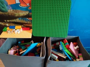 duplo beschikbaar voor biedingen