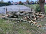 Wilgen hout en abele hout, 3 tot 6 m³, Ophalen of Verzenden, Overige houtsoorten, Stammen