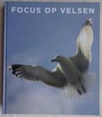 Focus op Velsen, Boeken, Geschiedenis | Stad en Regio, Ophalen of Verzenden, 20e eeuw of later, Zo goed als nieuw