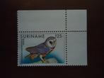 Vogel uil Suriname 1993, mi. 1429 postfris hoekstuk, Postzegels en Munten, Postzegels | Thematische zegels, Ophalen of Verzenden