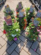 Wanderella hangsysteem hangzak € 12,50, Ophalen, Zomer, Eenjarig, Volle zon