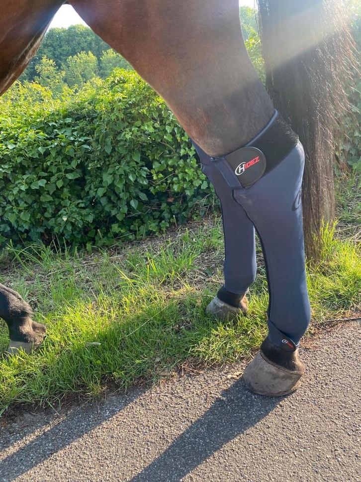 Hidez naadloze compressiekousen., Dieren en Toebehoren, Paarden en Pony's | Beschermers, Zo goed als nieuw, Overige toepassingen