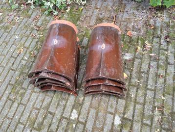 9 geglazuurde nokvorsten beschikbaar voor biedingen