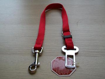 Autogordel voor de hond kleur rood beschikbaar voor biedingen