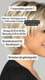 GRATIS KNIPBEURT, Overige niveaus, Starter, Overige vormen