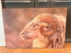 Landelijk canvas doek schaap 80x120, Huis en Inrichting, Woonaccessoires | Schilderijen, Tekeningen en Foto's, Ophalen, Zo goed als nieuw