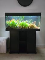 Juwel Rio 180 aquarium, Dieren en Toebehoren, Ophalen, Zo goed als nieuw, Gevuld zoetwateraquarium
