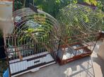 Surinaamse vogel kooi., Dieren en Toebehoren, Ophalen, Zo goed als nieuw, Hout, Vogelkooi