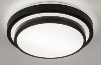 Plafond lamp beschikbaar voor biedingen