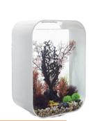 Biorb aquarium 60 liter wit., Dieren en Toebehoren, Ophalen, Zo goed als nieuw, Leeg aquarium