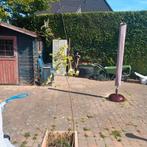 Jonge Lijsterbes - Ideaal voor uw tuin!, Overige soorten, 100 tot 250 cm, Zomer, Ophalen