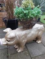Leuk gouden varken van glasvezel met pot en kunstplanten, Tuin en Terras, Ophalen, Zo goed als nieuw