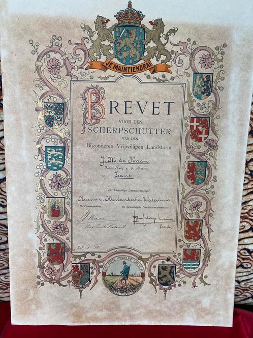 VERZAMELING “BIJZONDEREN VRIJWILLIGEN LANDSTORM”., Verzamelen, Militaria | Algemeen, Overige soorten, Embleem of Badge, Nederland