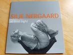 CD Silje Nergaard - At First Light, Cd's en Dvd's, Cd's | Jazz en Blues, Verzenden, Jazz