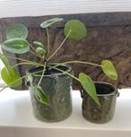 Aardewerk bloempotjes Mica - Intratuin - 2 stuks, Ophalen, Rond, Zo goed als nieuw, Balkon