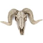 Kunst Schapen Schedel / Decor Dieren Skull Ram Kop Jacht Nep, Verzenden, Nieuw